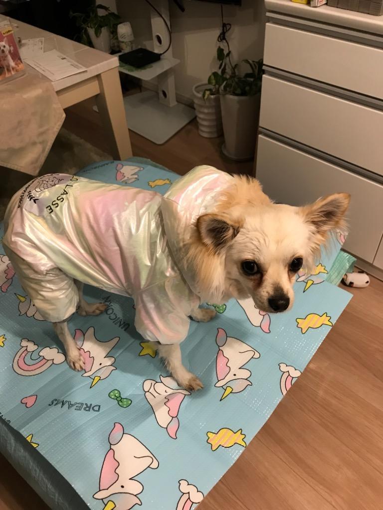 レビュー画像