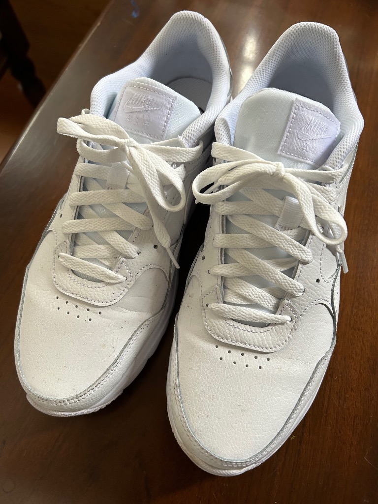 NIKE ナイキ スニーカー メンズ レディース エアマックス SC LEA