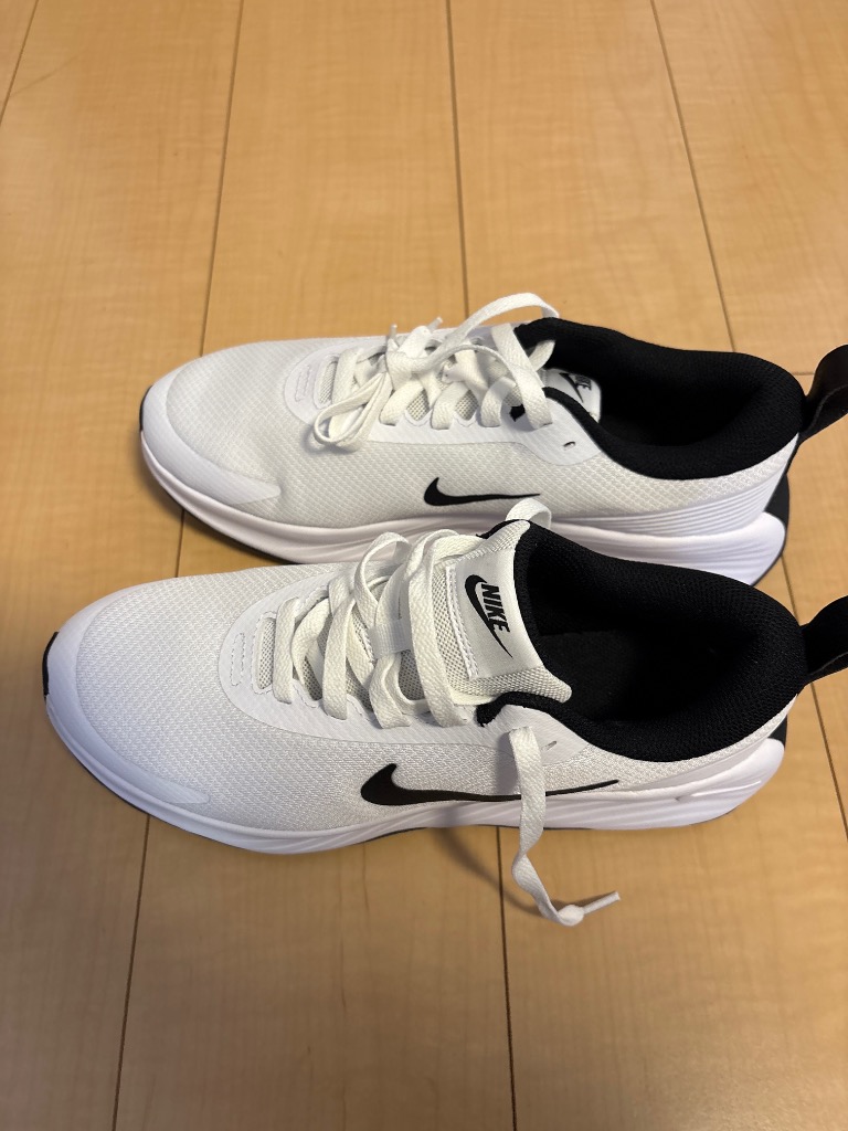 NIKE SALE ナイキ トレーニングシューズ メンズ プロミナ FV5285