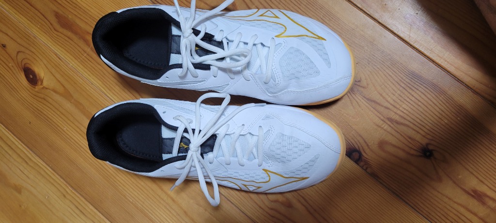 MIZUNO ミズノ バレーボールシューズ メンズ レディース