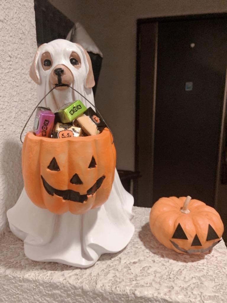 5のつく日セール 短納期 ハロウィン置物 かぼちゃ プレゼント袋 コンパクト スタンド 犬 猫 装飾 飾り 雑貨 雰囲