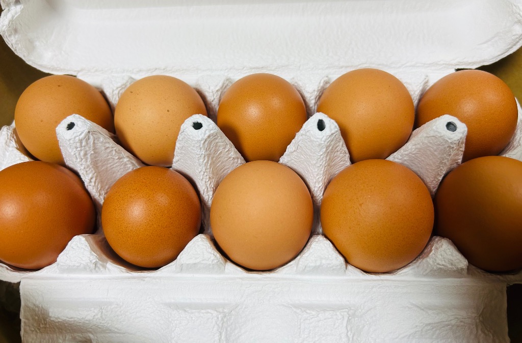 全体のレビュー画像 | 2-2