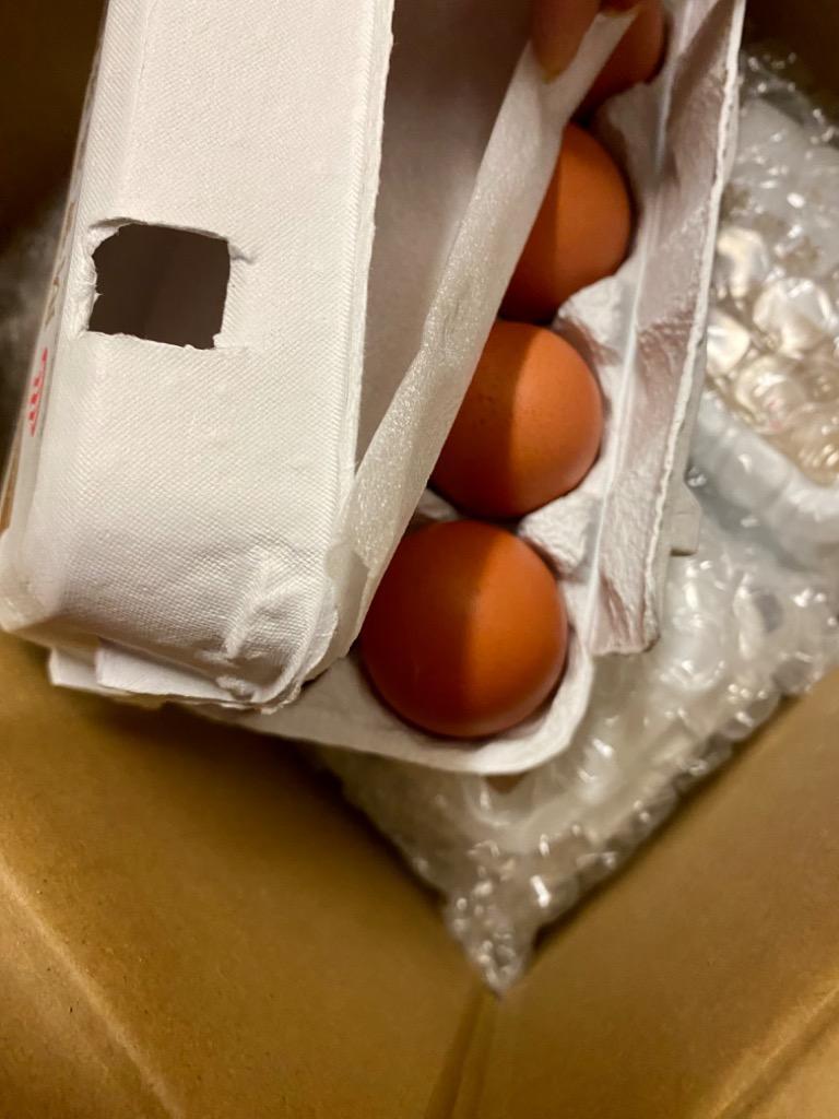 財寶温泉生卵 40個 (10個 4パック) 鹿児島県産 鶏卵 たまご 玉子 濃厚 