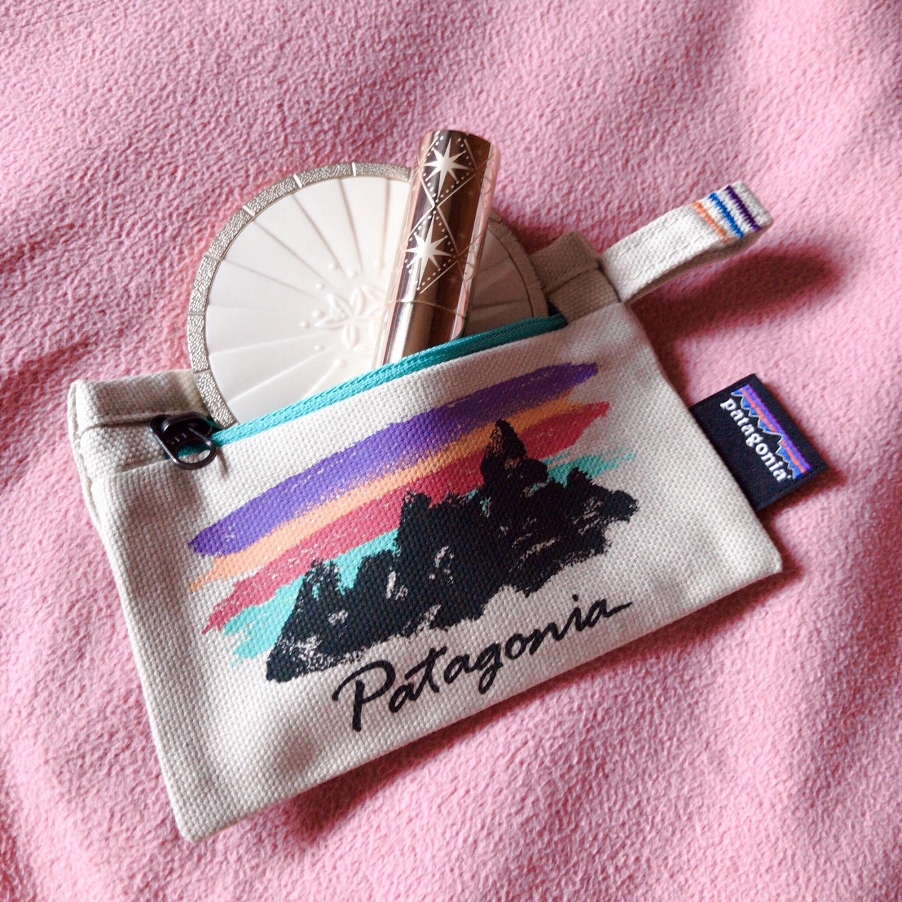 Patagonia small zippered online pouch