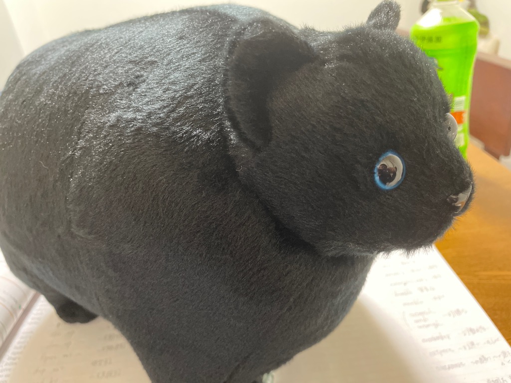 ふとっちぃZOOにゃんこ黒猫☆この商品は日本国内販売の正規品