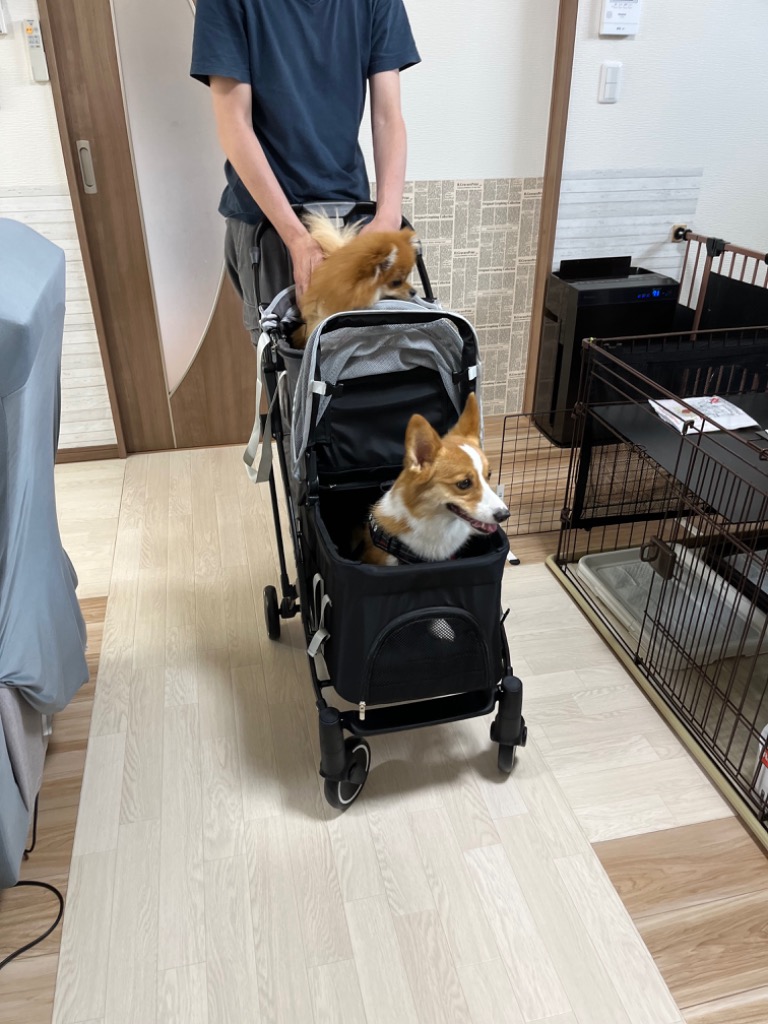 レビュー画像