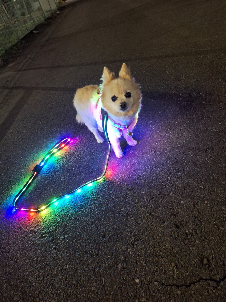 レビュー画像