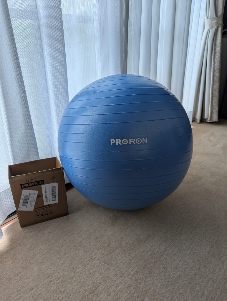 バランスボール 65cm ハンドポンプ付き MDM(ブルー, 65cm/M