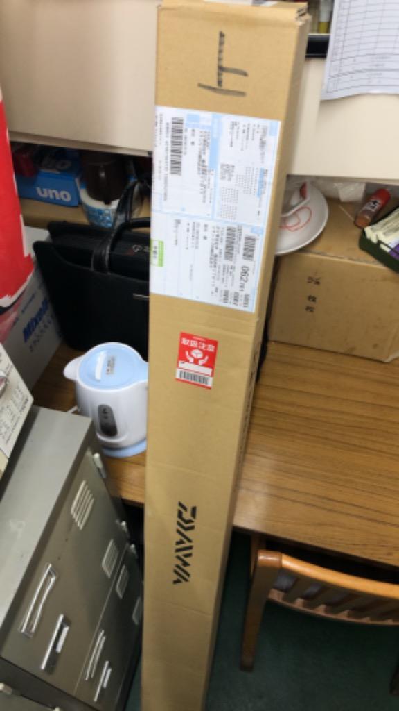 DAIWA（釣り） ダイワ 鮎竿 銀影競技 メガトルク 急瀬抜 XH90・Q
