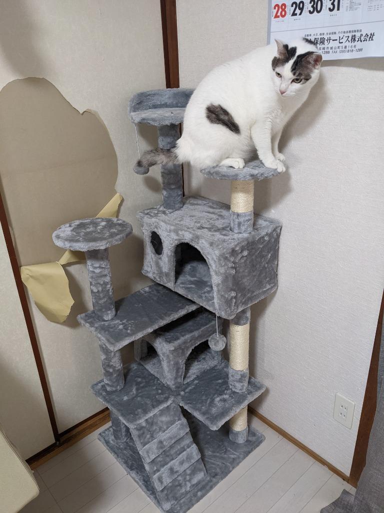 8件目のレビュー画像 | 0