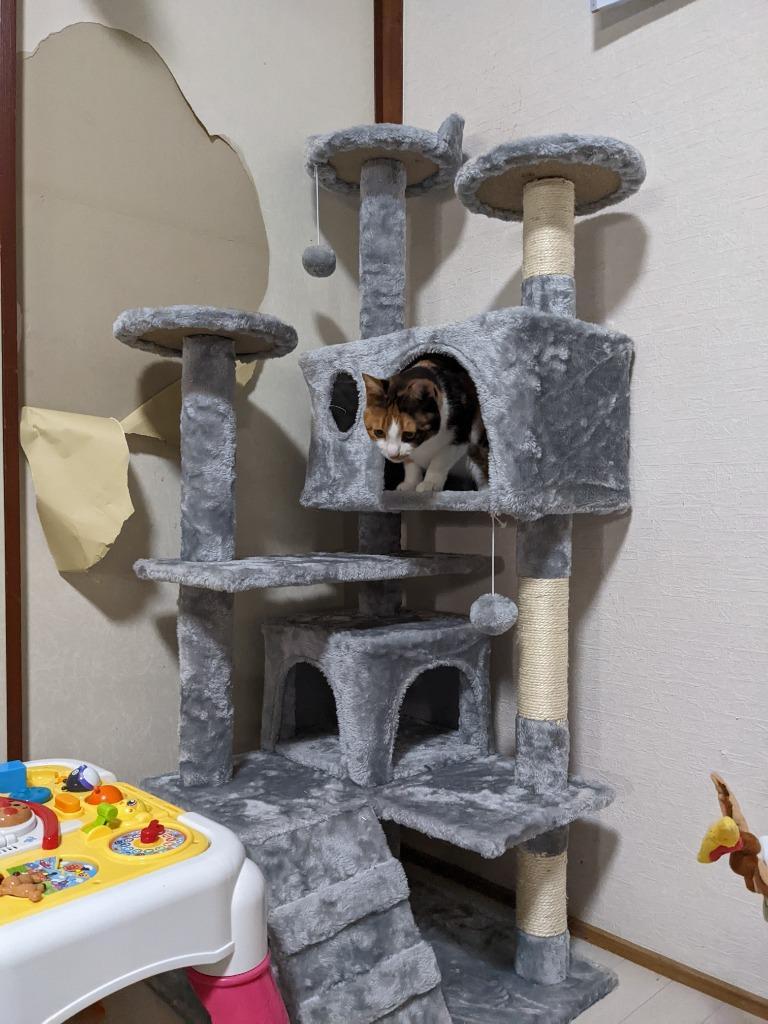 8件目のレビュー画像 | 2