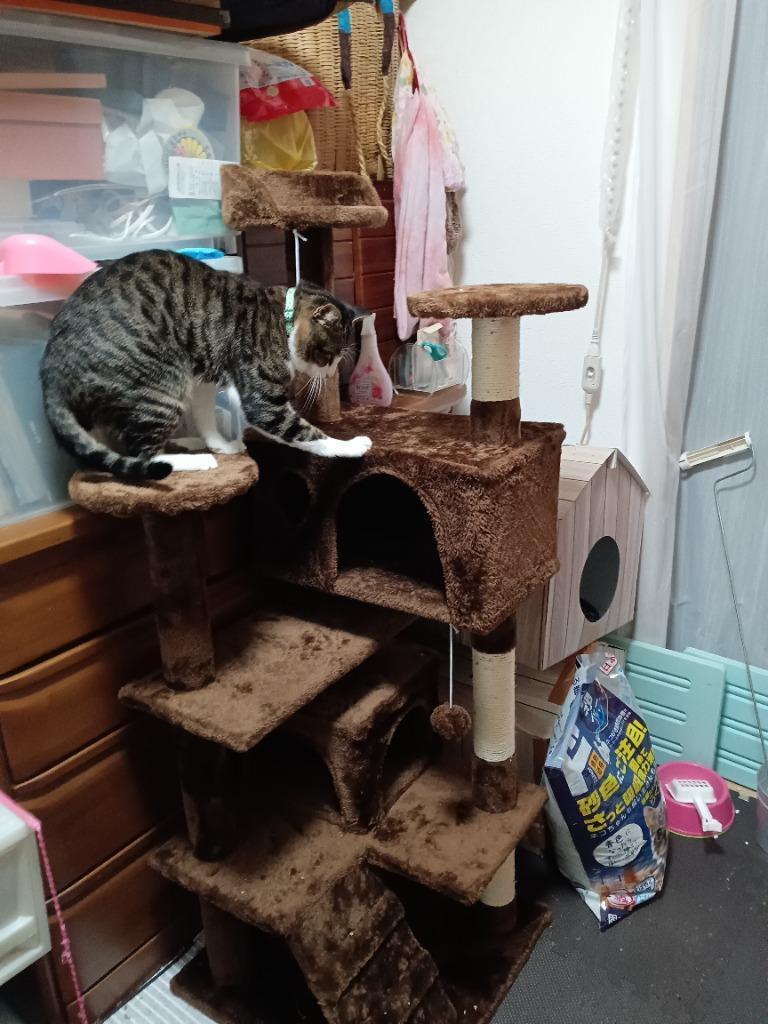 キャットタワー 据え置き 高さ135 省スペース キャットツリー 猫