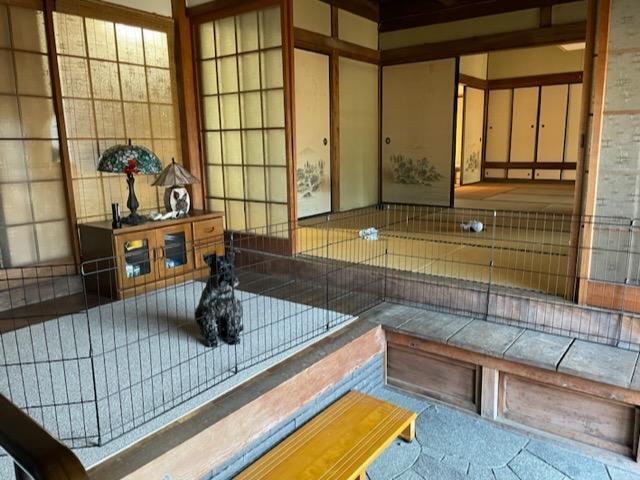 1件目のレビュー画像 | 1