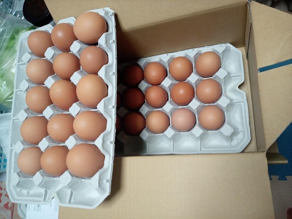 ブログに書きたくなる卵 産地直送 養鶏場直送 美味たま（30個） :egg-30:絶品ちば本舗 - 通販 - Yahoo!ショッピング