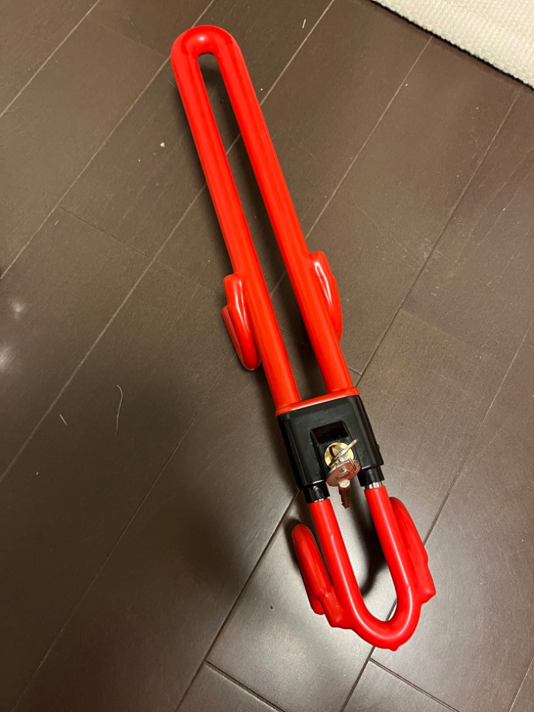 レビュー画像