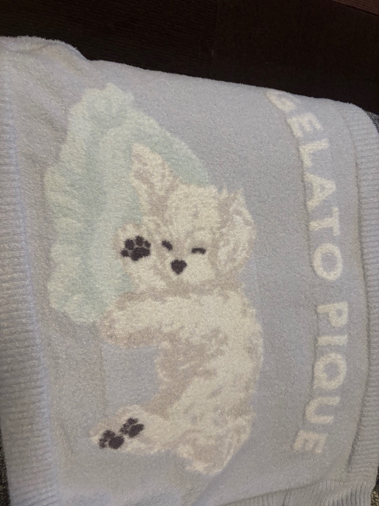 gelato pique（ジェラートピケ） 「CAT＆DOG」マルチーズ柄