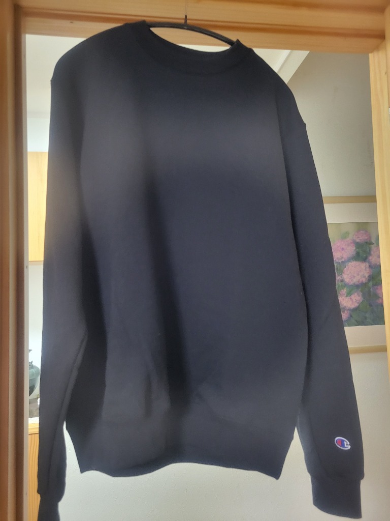 Champion トレーナー スウェット PULLOVER オーバーサイズ プル