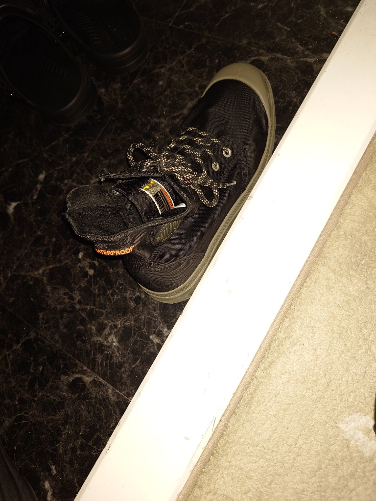 EARLE ブーツ アール / Back zip short boots バックジップ