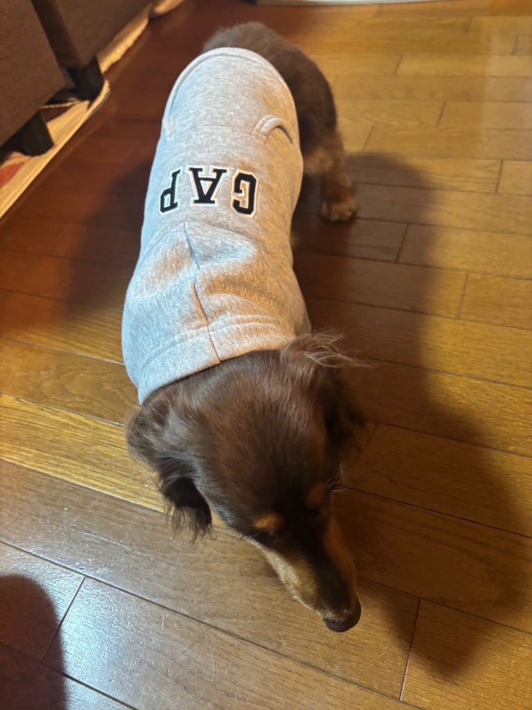 GAP 犬 服 GAPロゴ ペット用パーカー 犬服(DOG WEAR GAP 犬 服 GAPロゴ ペット用パーカー 犬服(DOG WEAR