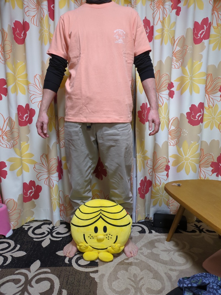 Quiksilver tシャツ SURFING USA ST/クイックシルバー半袖バック