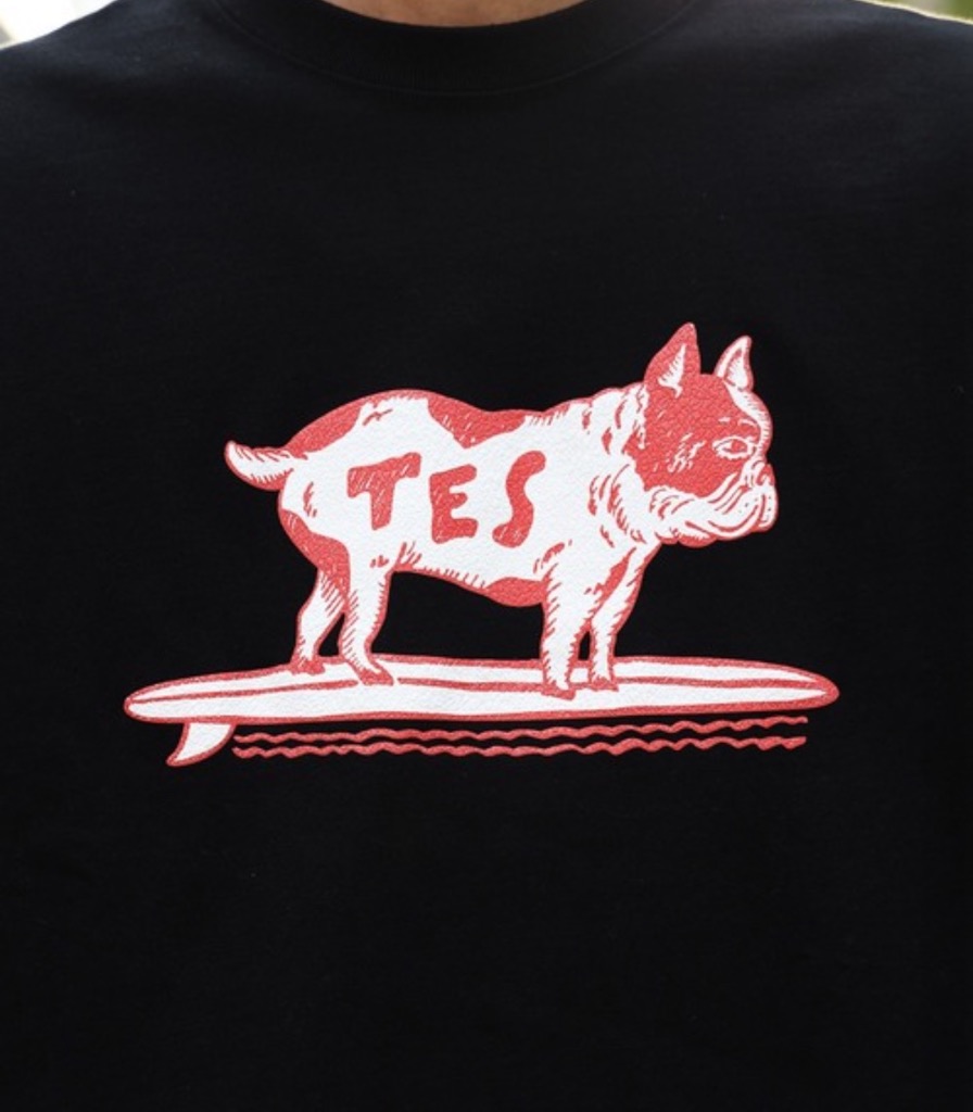 The Endless Summer tシャツ TES BASKET BALL PT T-SHIRT / T